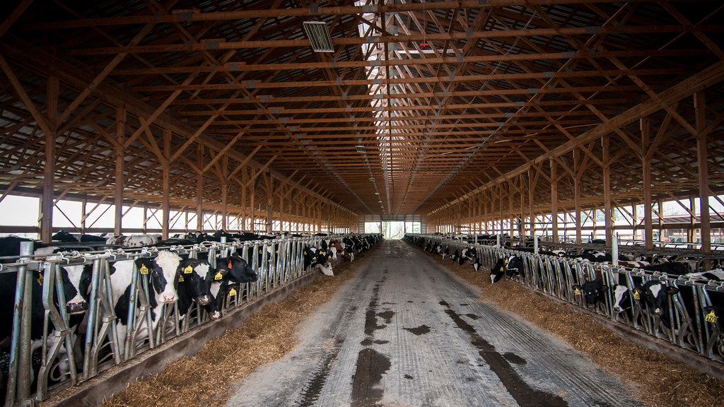 Rising Food Costs Squeeze Family Budgets Amidst Stable Lending Rates This Week