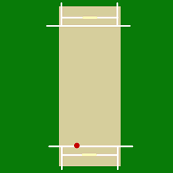 Spinner five-wicket haul turns the Test on day three
